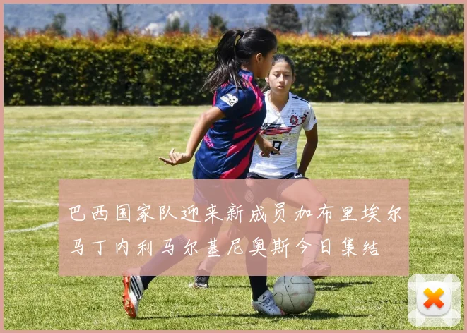 巴西国家队迎来新成员加布里埃尔马丁内利马尔基尼奥斯今日集结