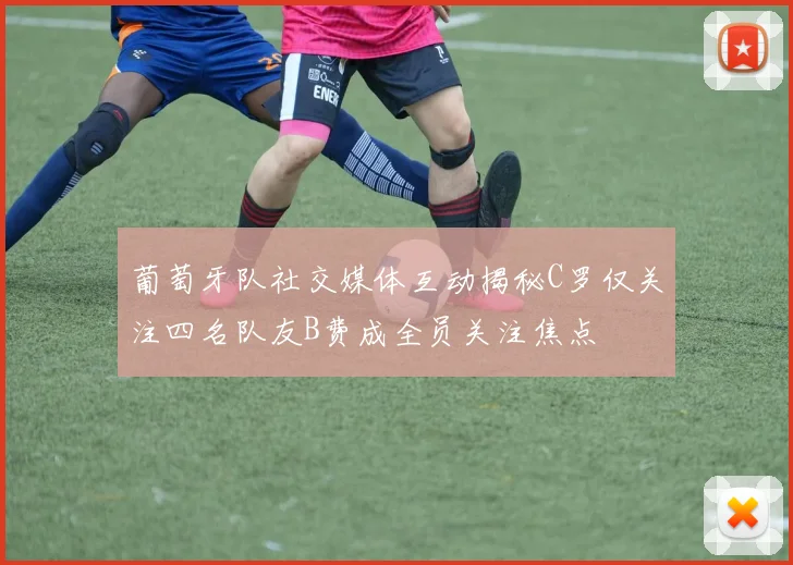 葡萄牙队社交媒体互动揭秘C罗仅关注四名队友B费成全员关注焦点